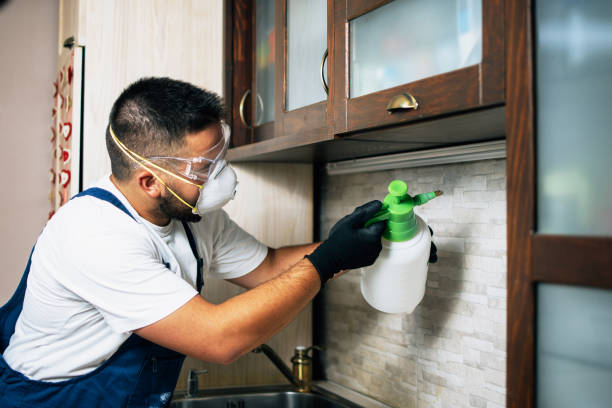 Best Flea Control Services  in Stacy, MN