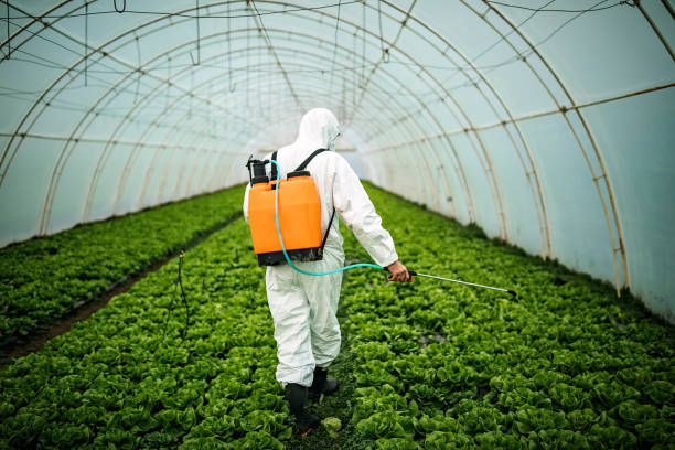 Best Affordable Pest Control Services  in Stacy, MN