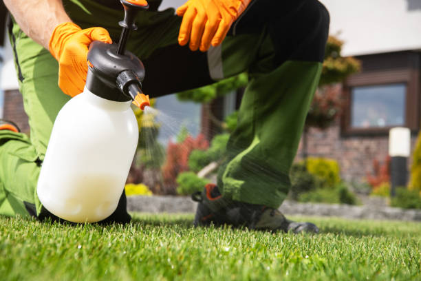 Best Mosquito Control Services  in Stacy, MN
