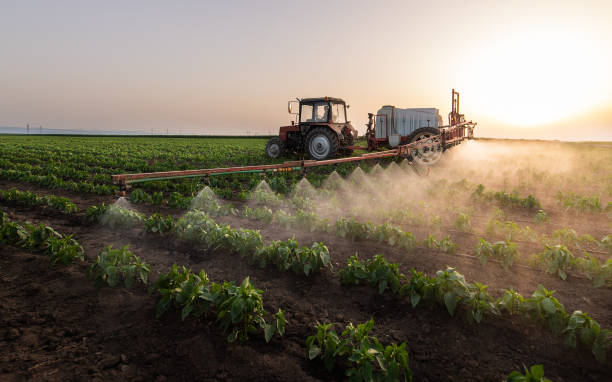 Best Mosquito Control Services  in Stacy, MN