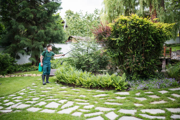 Best Exterminator Services  in Stacy, MN