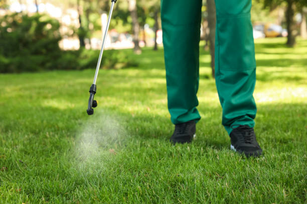 Best Pest Control Near Me  in Stacy, MN
