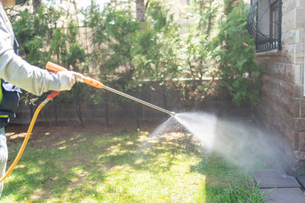 Best Wildlife Control Services  in Stacy, MN