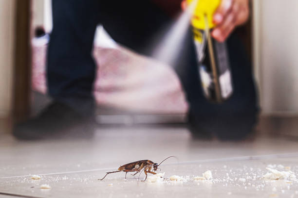Insect Control in Stacy, MN