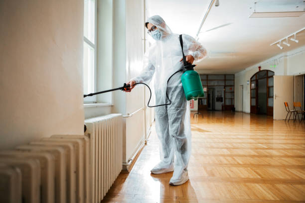 Best Cockroach Control Services  in Stacy, MN