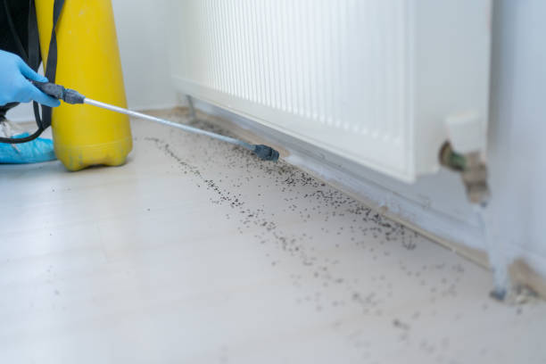 Professional Pest Control in Stacy, MN