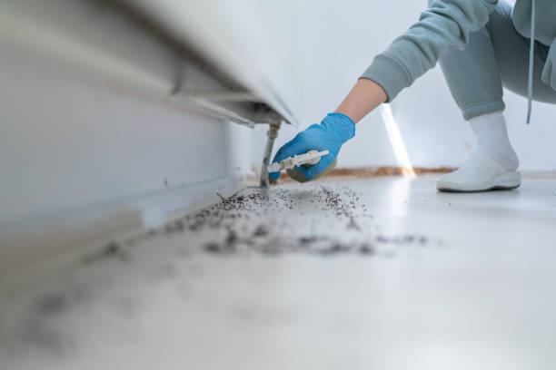 Best Best Pest Control Companies  in Stacy, MN